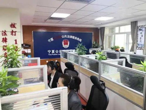 寧夏12348法律咨詢熱線春節(jié)不打烊 法律服務(wù)暖心伴佳節(jié)
