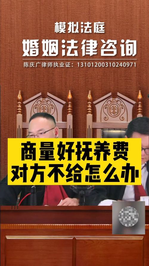 撫養(yǎng)費協(xié)商后對方拒不支付，法律途徑如何維權(quán)？